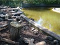 zoo 078